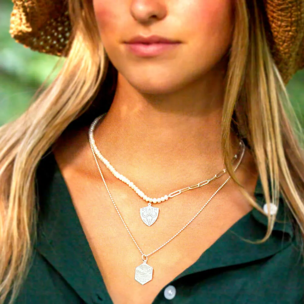 Glacier National Park Charm, Silver